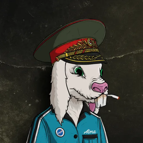 Item #31783044665603522597051572670568993386613541800096039178831107868388451418146 Media