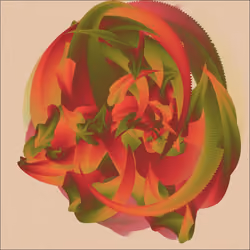 25