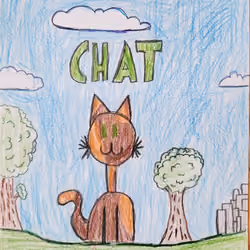 Chat
