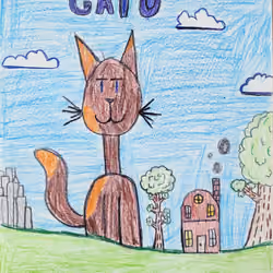 Gato