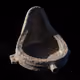 Asteroid (700) Bedfordshire