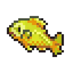 Yellow Perch