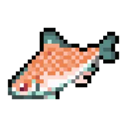 Pink Salmon