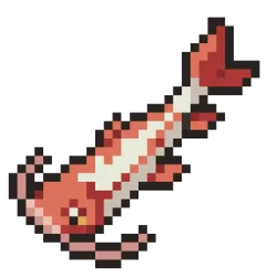Redtail Catfish