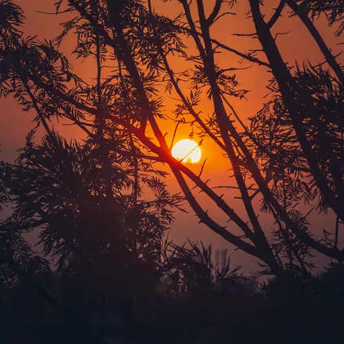 Ember Skies
