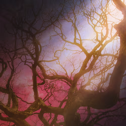 Let The Light Bleed Into You