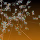 Fractabre - Zoom fractal #4