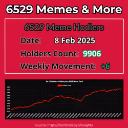 6529 Holders Count 8 Feb 2025