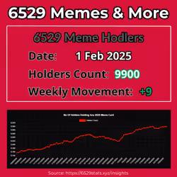 6529 Holders Count 1 Feb 2025