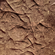 Rodeo posts