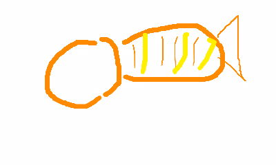 Item #72 Media