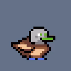 Based Ducks #493