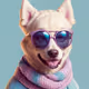 DOGE