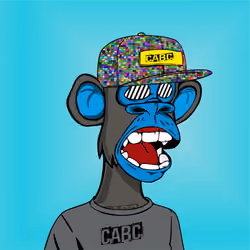 204