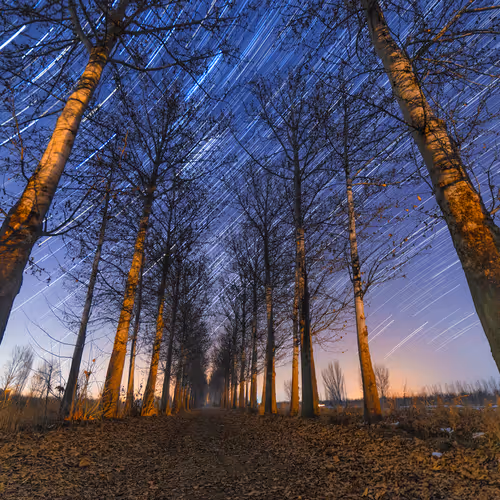 Autumn Pass
