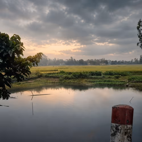 The calm magic of the morning!
