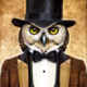 Mr Owl