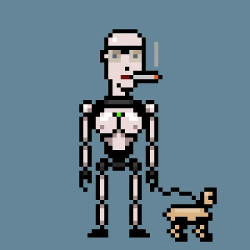 OptimusPunks #2470
