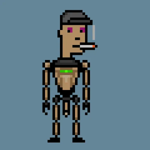 OptimusPunks #1363