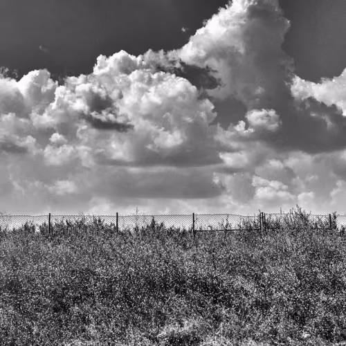 Beyond Borders