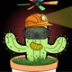 Cactoos Cactii