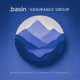 .basin | ENSURANCE GROUP