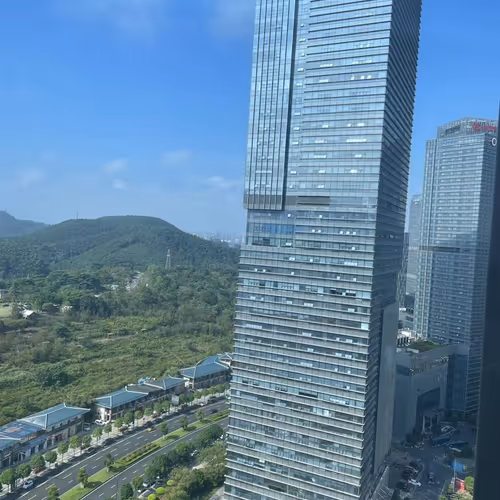 The view from the window