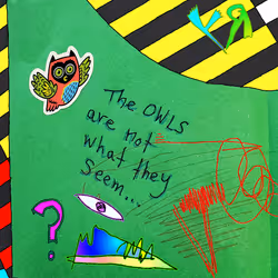 85