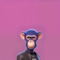 Happito Base Monke #2023