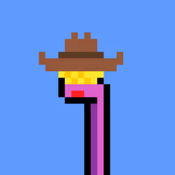 502