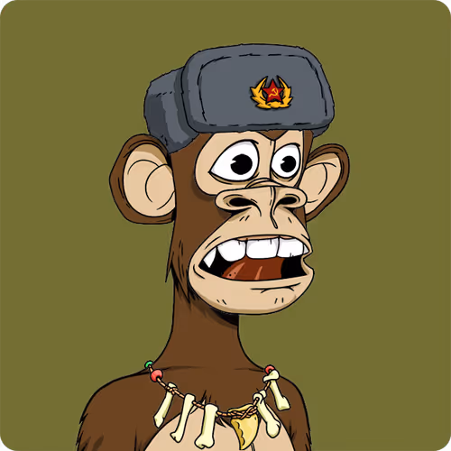 Bored Ape #1206
