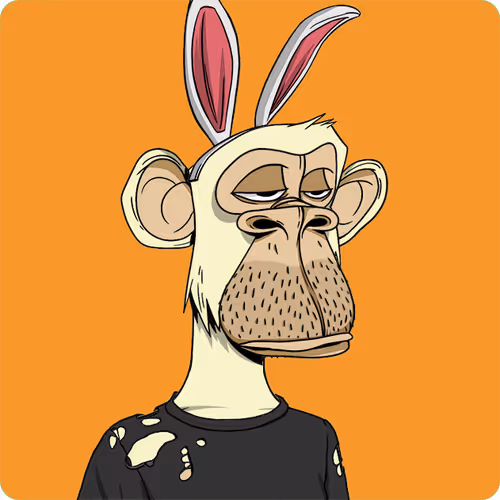 Bored Ape #4884