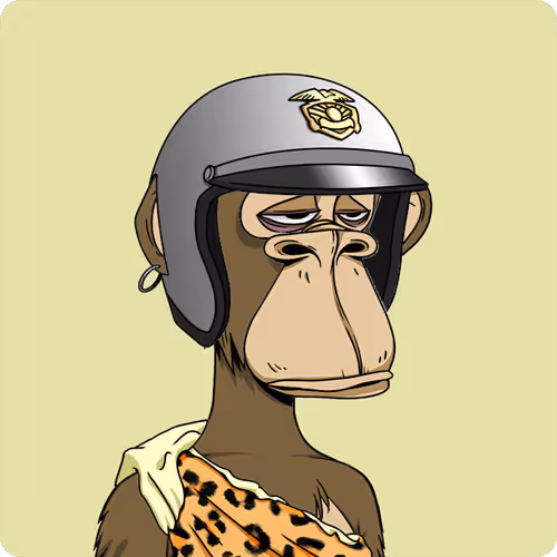Bored Ape #6293