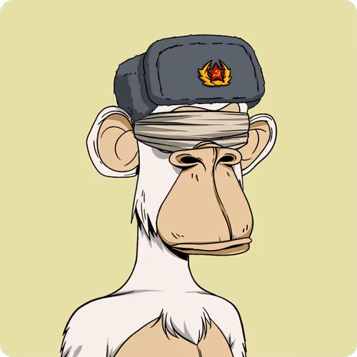 Bored Ape #904