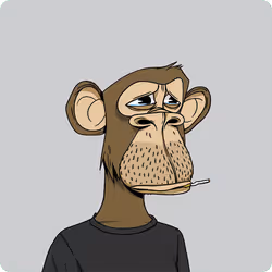 5038