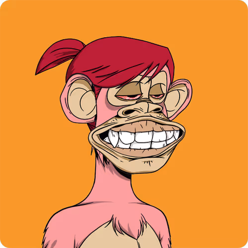 Bored Ape #8504