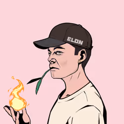 ELON #3568