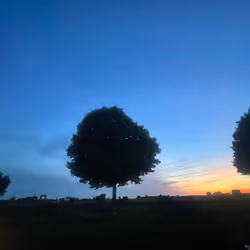 Beautiful Morning #4