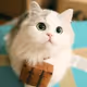 MiM