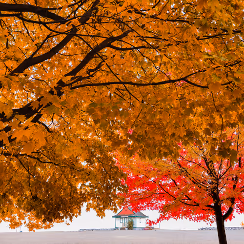 Changing Of The Seasons