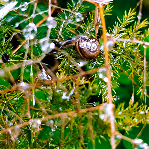 Nature S Hidden Gems