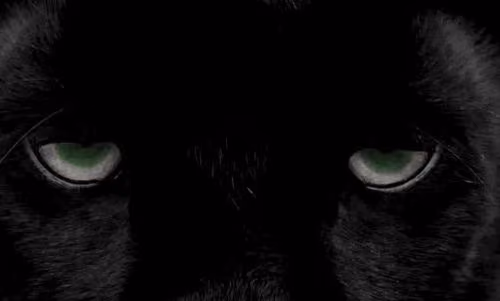 Your fear 1