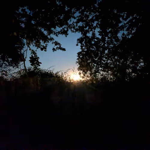 Dark Camping