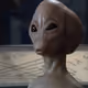 30373