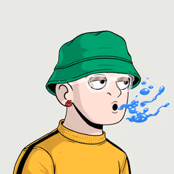 pooks #2062