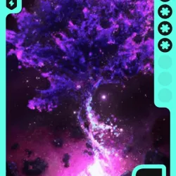 562198