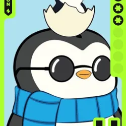 0xDamien