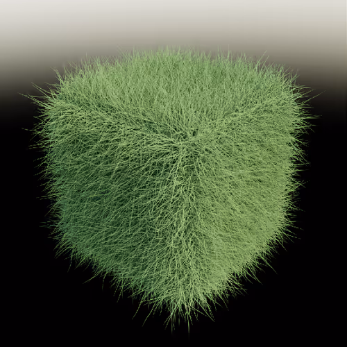 Grass Block