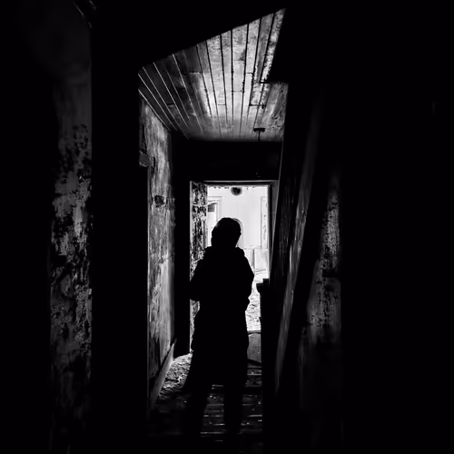 Swallowed By The Light