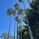 Streets of California 
